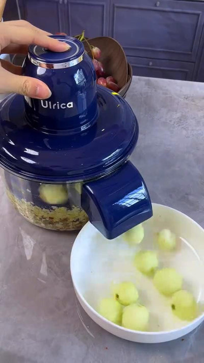 Multifunction Electric Food Chopper