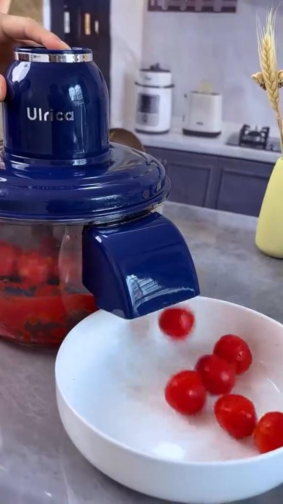 Multifunction Electric Food Chopper
