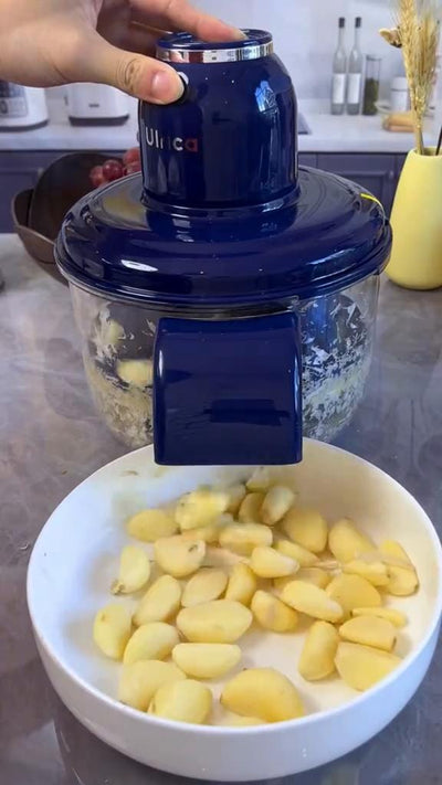 Multifunction Electric Food Chopper